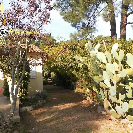 Tatil Evi Alzetu A 500m De La Mer De St Cyprien, Jacuzzi 4/6 Pers Keys Conciergerie In Corsica Lecci